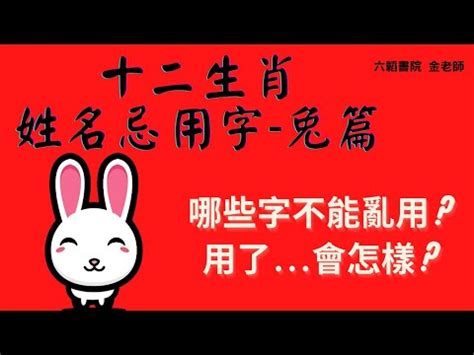 屬兔 字|生肖兔宜用及不宜用字